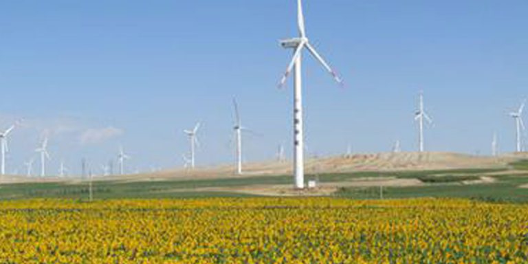 Henan Naoli Wind Farm 100 MW